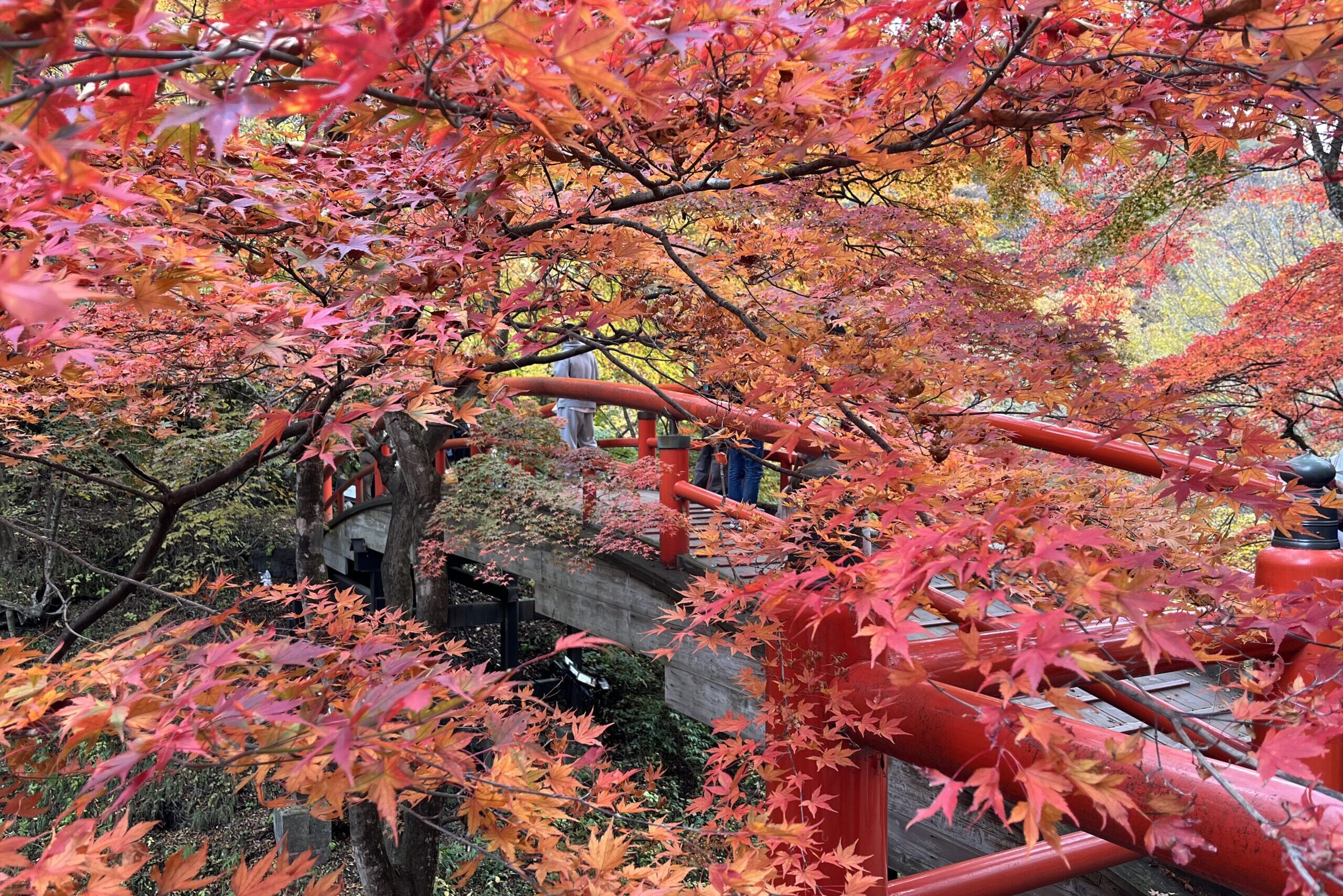 河鹿橋